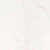 16923_38453_bg_13810