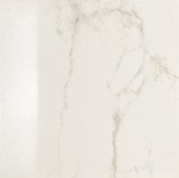 16923_38461_bg_14493