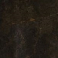 16923_38522_bg_13848