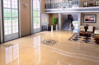 17013_31375_bg_21421