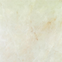 17013_31377_bg_21632