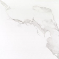 17013_40617_bg_21820