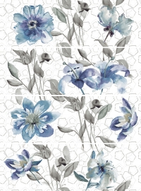 21913_54811_bg_19167