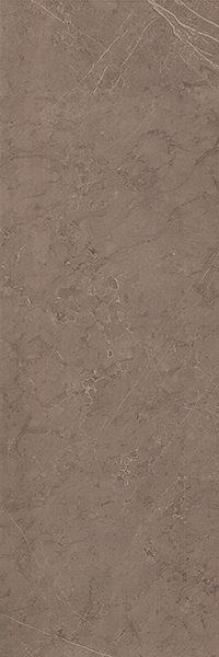 28405_66550_bg_15361