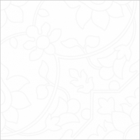 31371_75803_bg_22953