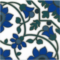 31371_75804_bg_13758