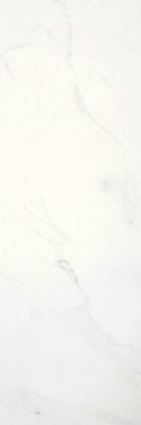 34452_86610_bg_31356