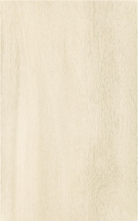 44288_127238_bg_16691