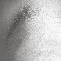 73272_211469_bg_25380